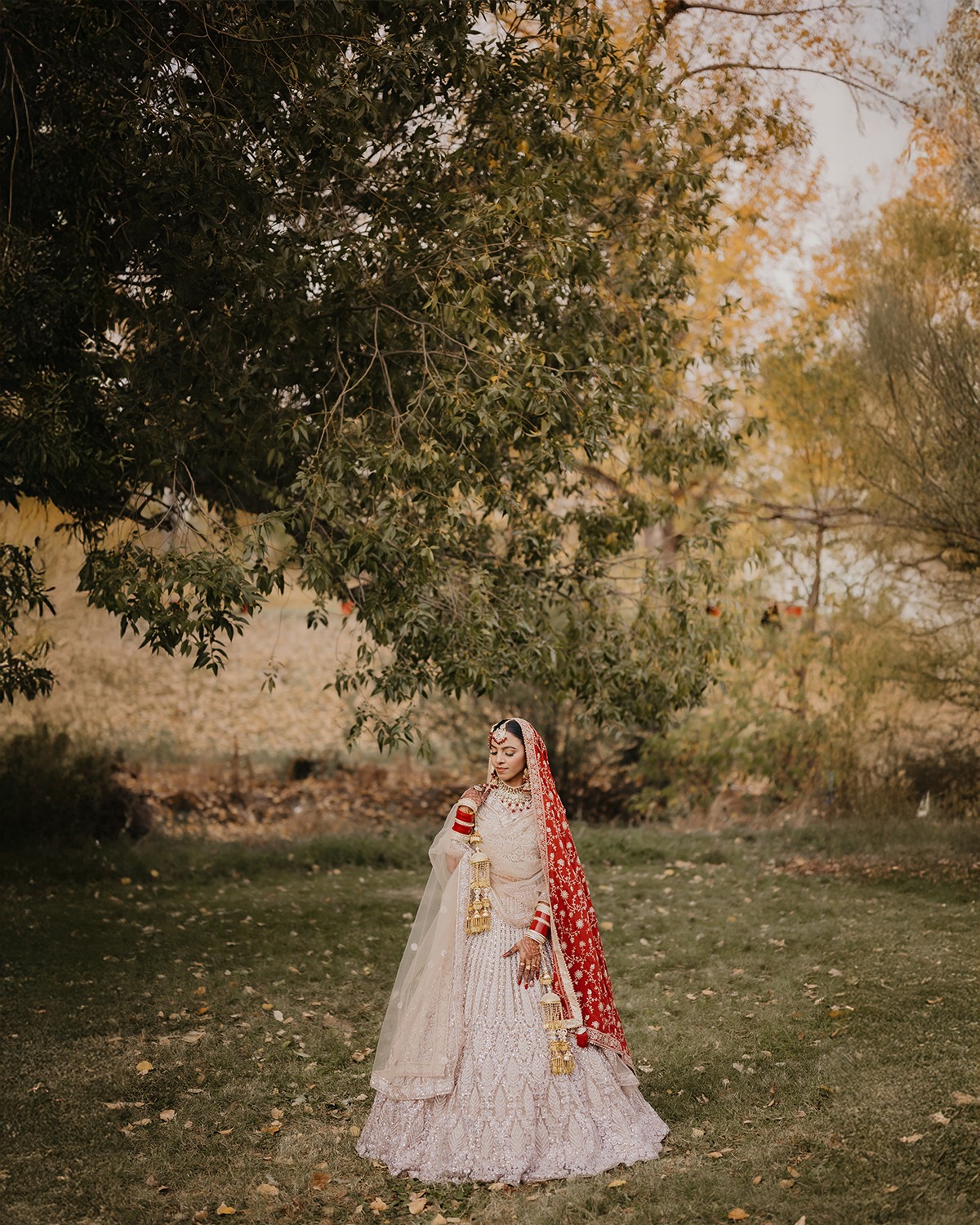Destination Weddings